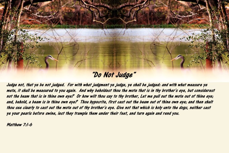 © Photo Artist Susan ruth Robertson 09002500100 010 - Copy.JPG