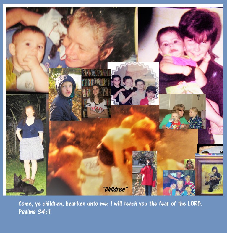 © Photo Artist Susan Ruth Robertson 090025006100 001 - Copy.JPG