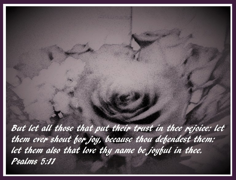 © Photo Artist Susan Ruth Robertson 090025006100 011.JPG