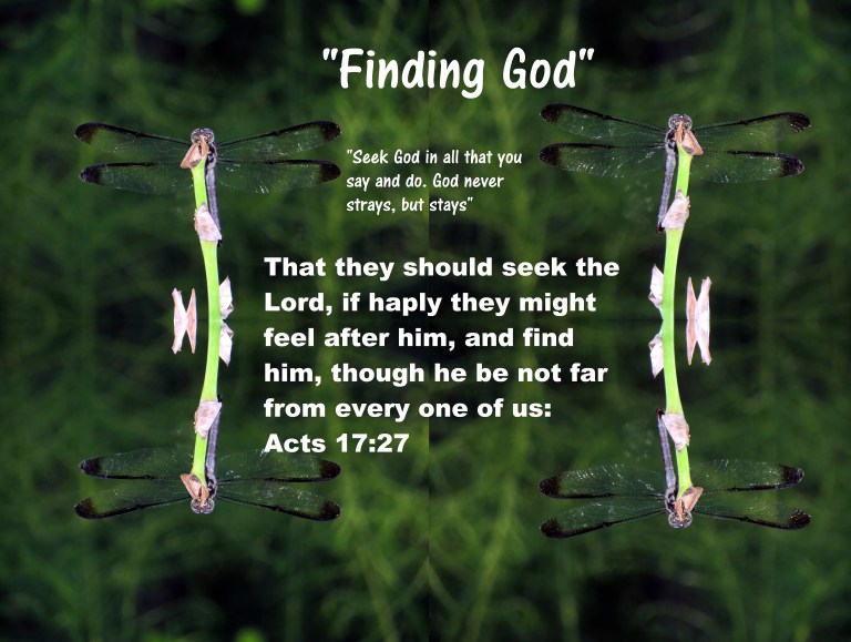 © Photo Artist Susan Ruth Robertson 090025006100  (82) - Copy - Copy.JPG