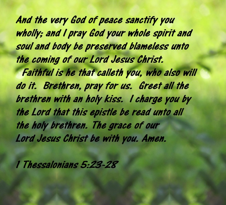 © Photo Artist Susan Ruth Robertson 090025006100 Canon PowerShot SX400 IS 045 - Copy - Copy - Copy - Copy.JPG