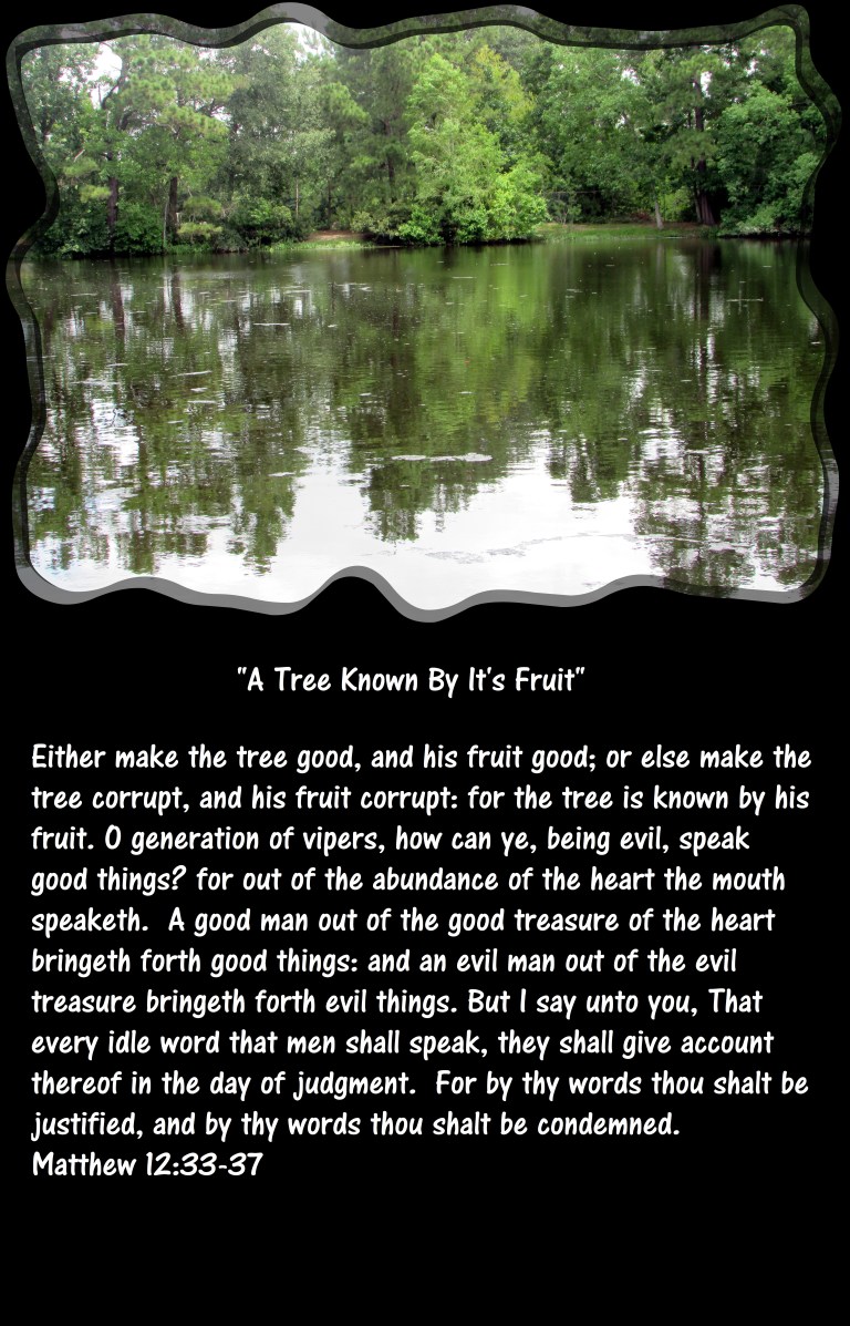 SX400 IS © Photo Artist Susan Ruth Robertson 090025006100 023 - Copy.JPG