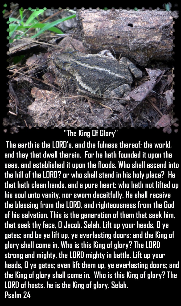 © Photo Artist Susan Ruth Robertson 002 - Copy (2).JPG