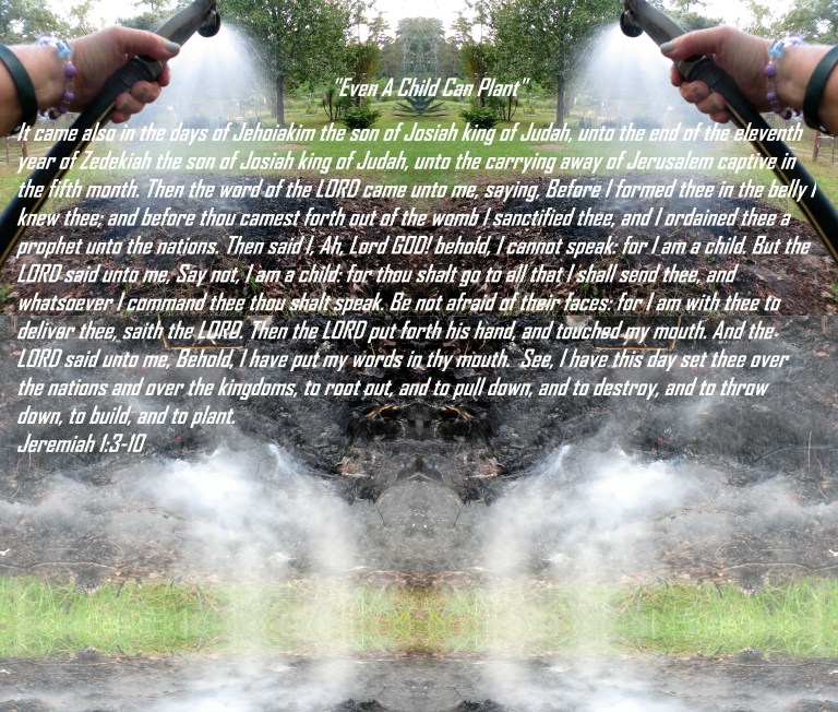 © Photo Artist Susan Ruth Robertson 090025006100 002 - Copy (2).JPG