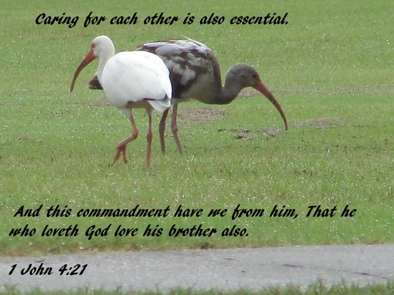 © Photo Artist Susan Ruth Robertson 090025006100 009 - Copy.JPG