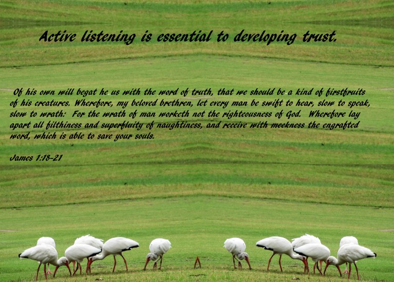 © Photo Artist Susan Ruth Robertson 090025006100 012 - Copy.JPG