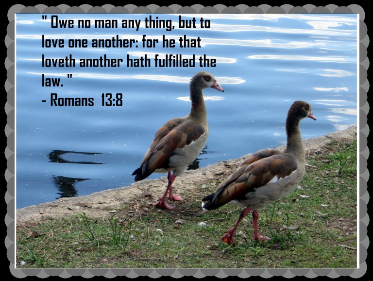 © Photo Artist Susan Ruth Robertson 090025006100 019 - Copy.JPG