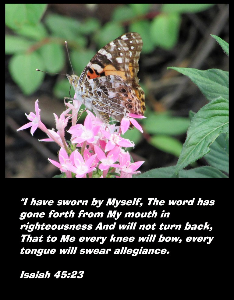 © Photo Artist Susan Ruth Robertson 090025006100 024 - Copy.JPG