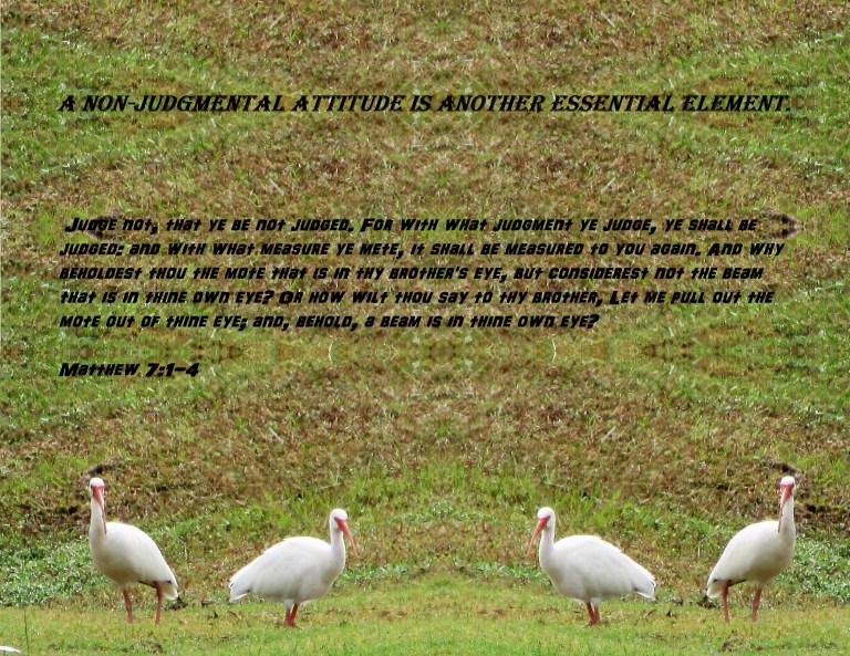 © Photo Artist Susan Ruth Robertson 090025006100 035 - Copy.JPG