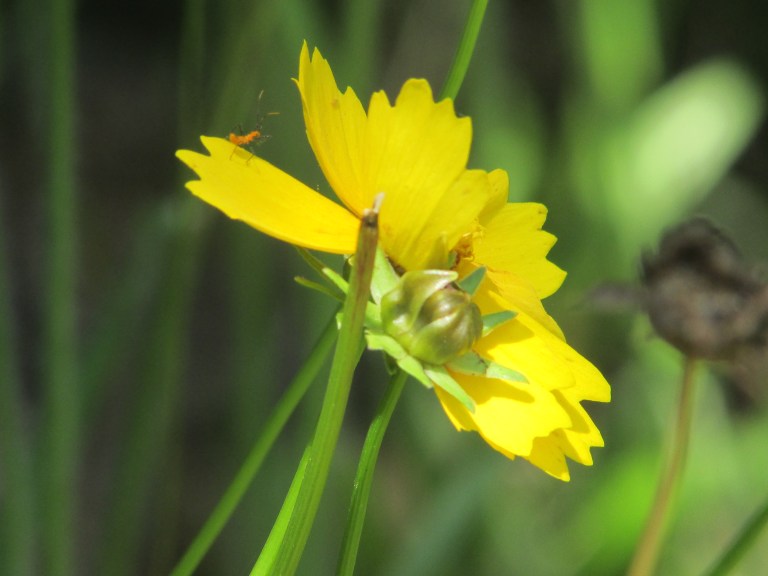 © Photo Artist Susan Ruth Robertson 090025006100 (4) - Copy.JPG