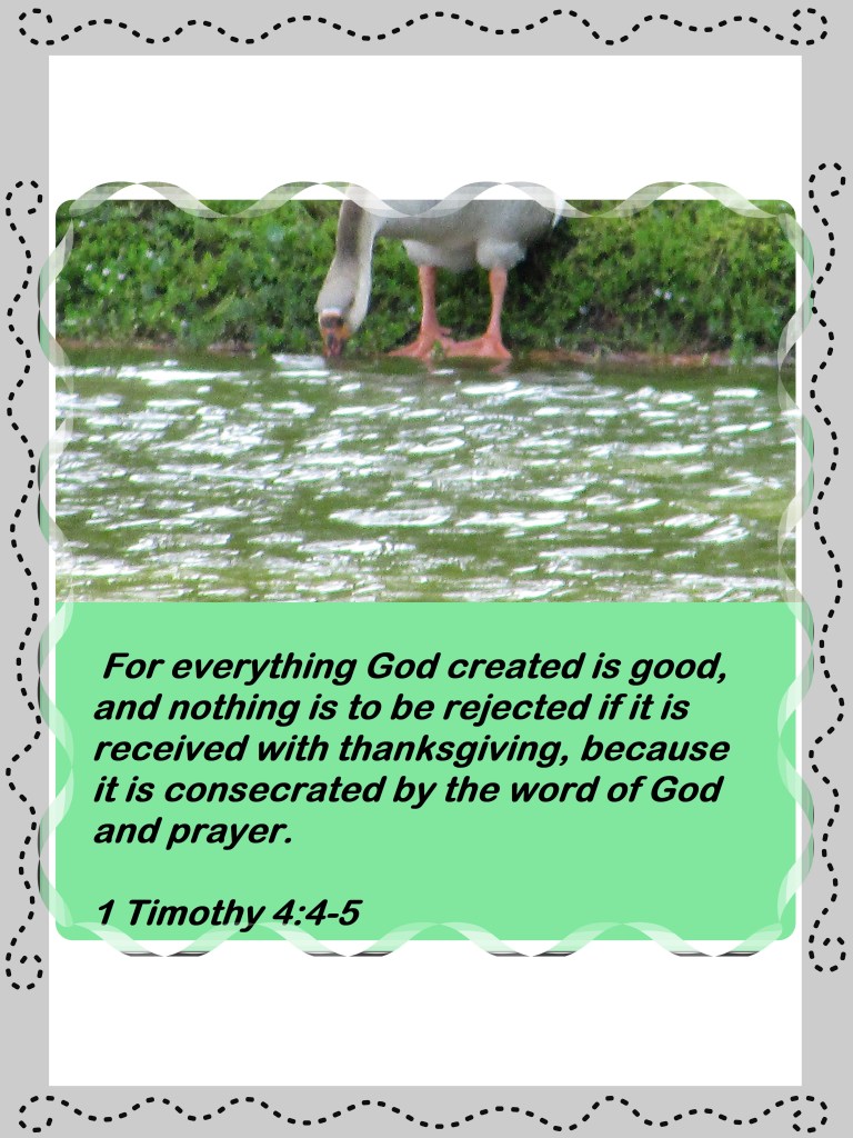 © Photo Artist Susan ruth Robertson 09002500100 020 - Copy