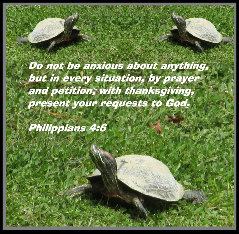 © Photo Artist Susan Ruth Robertson 090025006100 002 - Copy.JPG