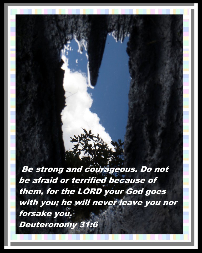 © Photo Artist Susan Ruth Robertson 090025006100 018