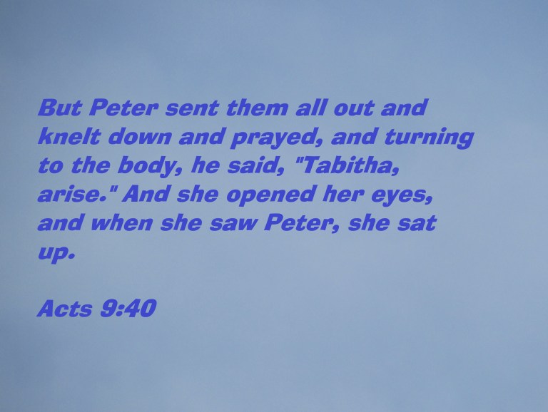 © Photo Artist Susan Ruth Robertson 090025006100 026 - Copy.JPG