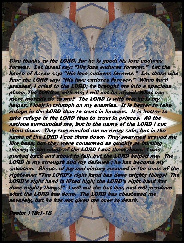 © Photo Artist Susan Ruth Robertson 090025006100 028 - Copy.JPG