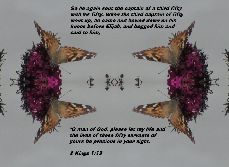 © Photo Artist Susan Ruth Robertson 090025006100 055 - Copy.JPG