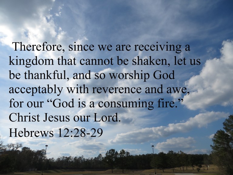 Photo Artist Susan Robertson (4)