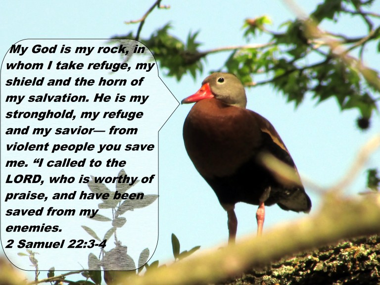 © Photo Artist Susan Ruth Robertson 090025006100 027.JPG