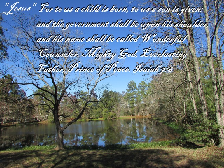 © Photo Artist Susan Ruth Robertson 090025006100 040 - Copy.JPG