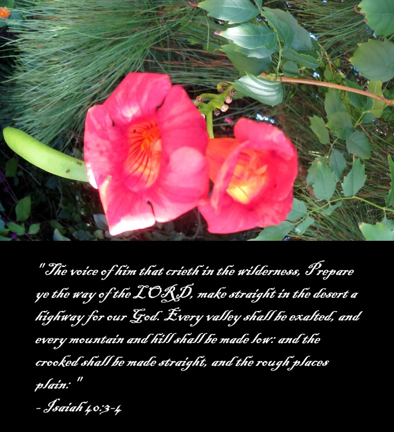 © Photo Artist Susan Ruth Robertson 090025006100 053 - Copy.JPG