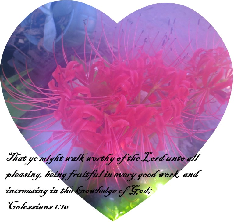 © Photo Artist Susan Ruth Robertson 090025006100 055 - Copy (3).JPG