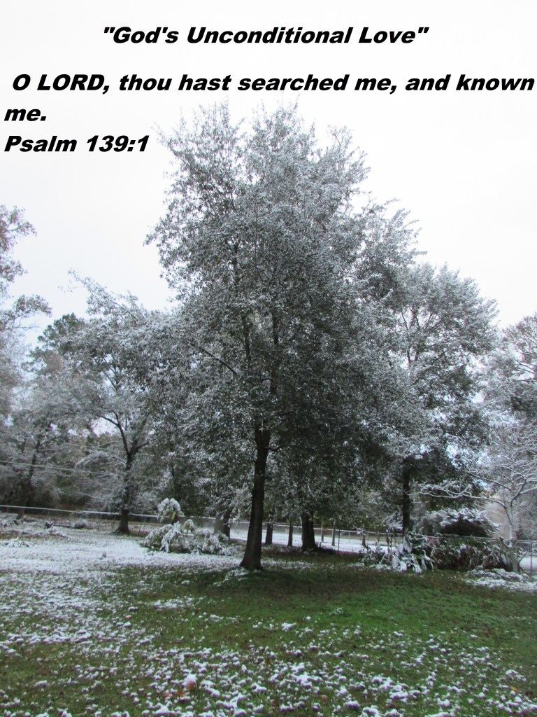 © Photo Artist Susan Ruth Robertson 090025006100 058 - Copy.JPG