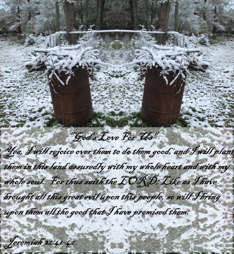 © Photo Artist Susan Ruth Robertson 090025006100 059 - Copy.JPG