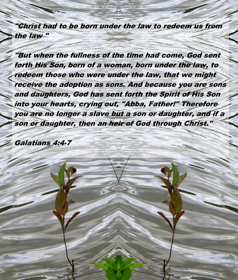 © Photo Artist Susan Ruth Robertson 090025006100 126 - Copy - Copy (2).JPG