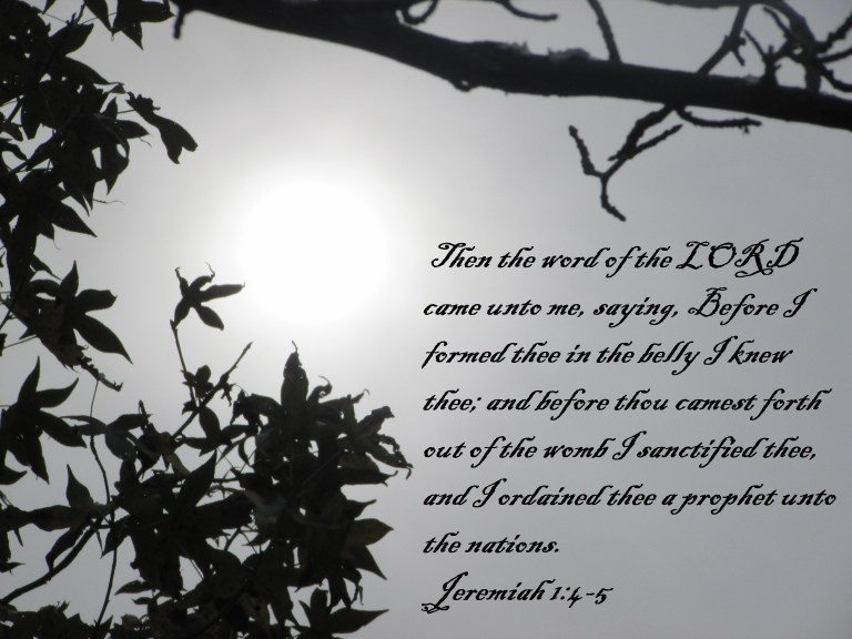 © Photo Artist Susan Ruth Robertson 090025006100 396 - Copy.JPG