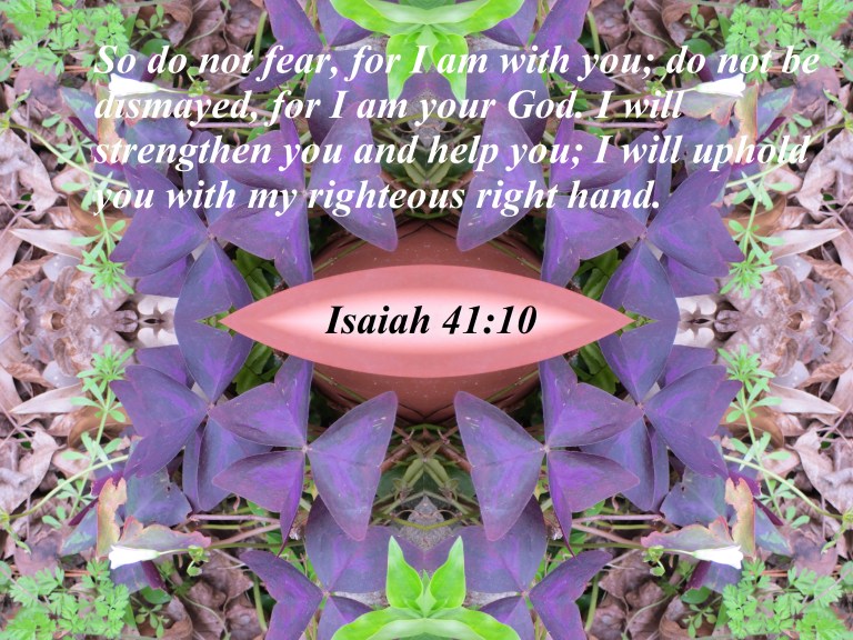 Photo Artist Susan Robertson all Rights Reserved 012 - Copy.JPG