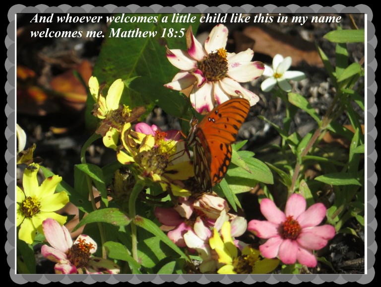 © Photo Artist Susan Ruth Robertson 090025006100 008.JPG