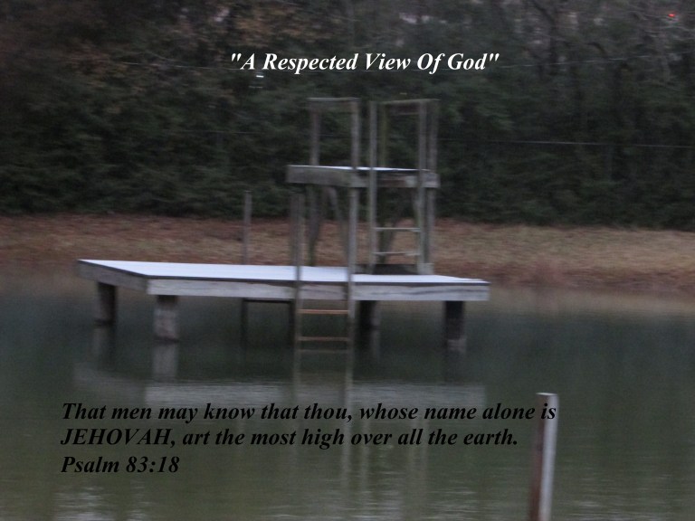 © Photo Artist Susan Ruth Robertson 090025006100 031 - Copy.JPG