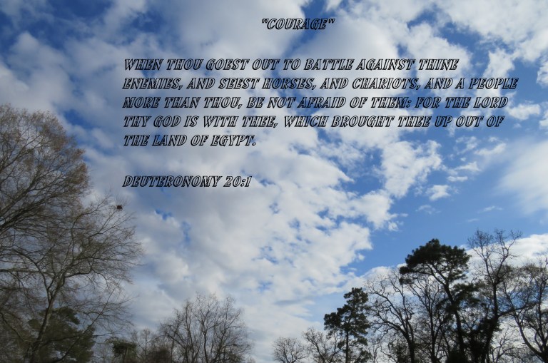 © Photo Artist Susan Ruth Robertson 090025006100 035.JPG