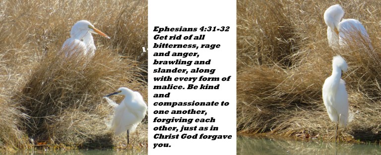 © Photo Artist Susan Ruth Robertson 090025006100 041 - Copy.JPG