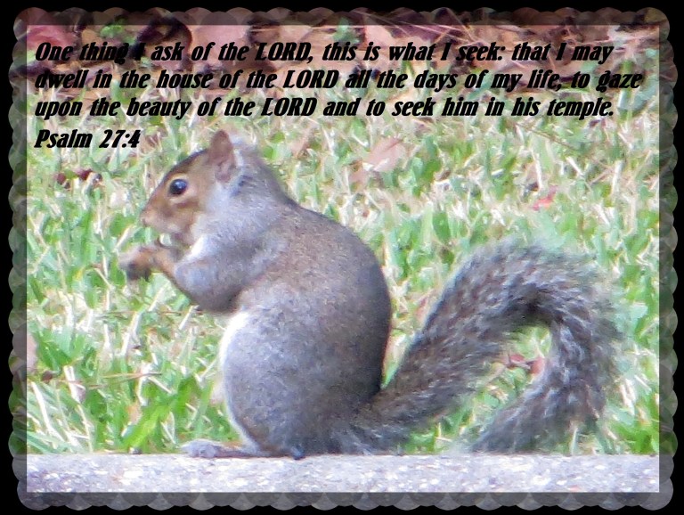 © Photo Artist Susan Ruth Robertson 090025006100 041.JPG