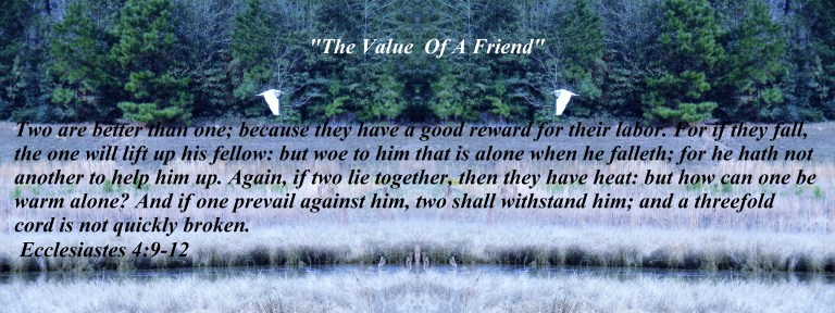 © Photo Artist Susan Ruth Robertson 090025006100 076 - Copy.JPG