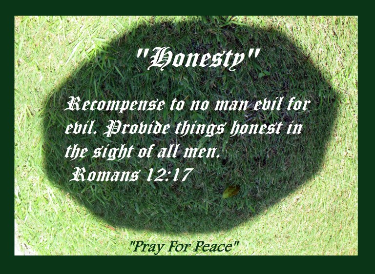 © Photo Artist Susan Ruth Robertson 090025006100 078 - Copy.JPG