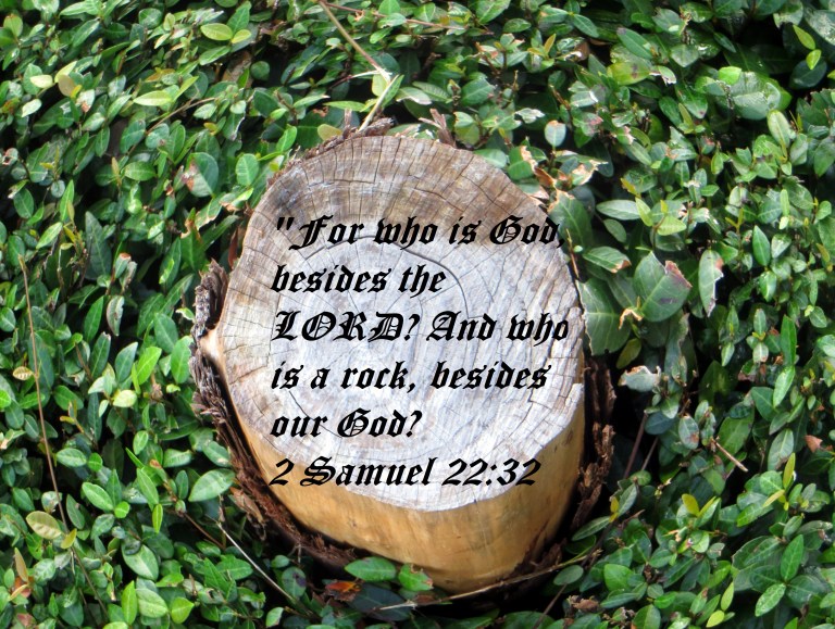 © Photo Artist Susan Ruth Robertson 090025006100 109 - Copy