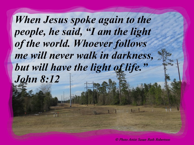 Photo Artist Susan Robertson (18) - Copy