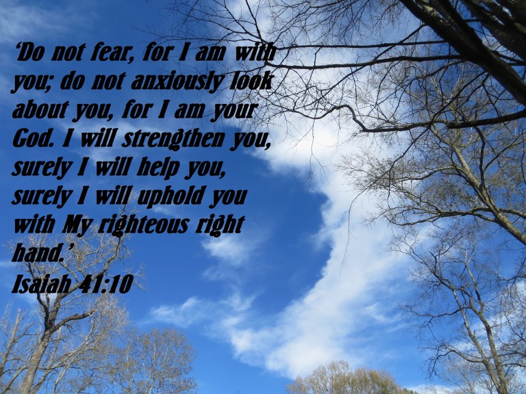 Photo Artist Susan Robertson all Rights Reserved 001.JPG