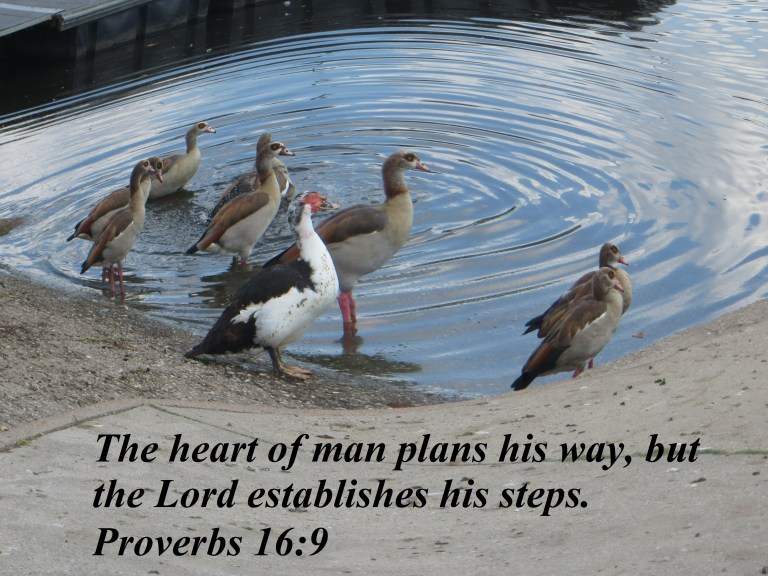 © Photo Artist Susan Ruth Robertson 090025006100 003 - Copy.JPG