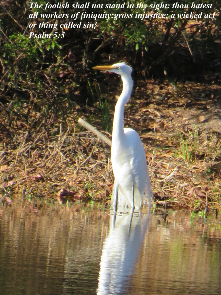 © Photo Artist Susan Ruth Robertson 090025006100 049 - Copy.JPG