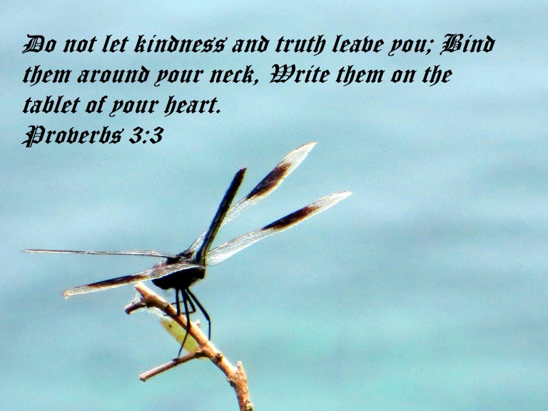 © Photo Artist Susan Ruth Robertson 090025006100 068 - Copy (3).JPG