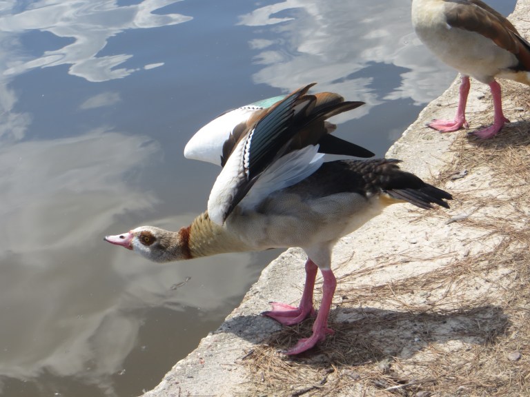 © Photo Artist Susan Ruth Robertson 090025006100 075.JPG