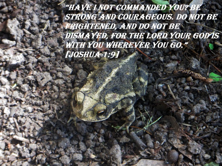 SX260HS 041 - Copy.JPG