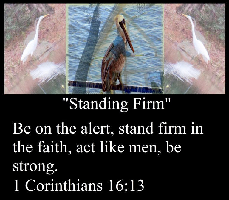 3-26-2018_10145_PM - Copy.jpg