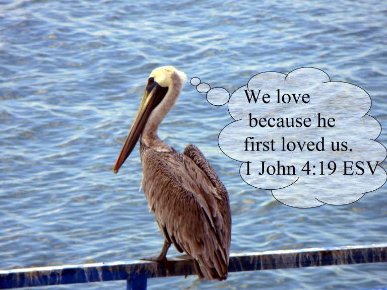 © Photo Artist Susan Ruth Robertson 090025006100 001 - Copy.JPG