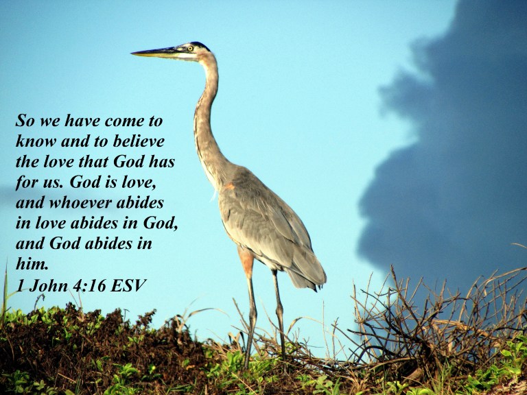 © Photo Artist Susan Ruth Robertson 090025006100 016 - Copy.JPG