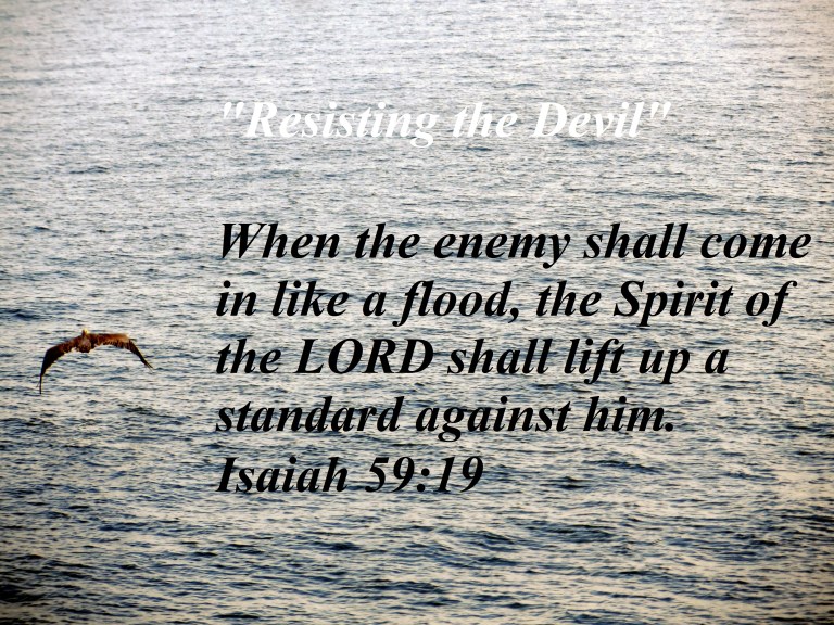 © Photo Artist Susan Ruth Robertson 090025006100 017 - Copy - Copy.JPG