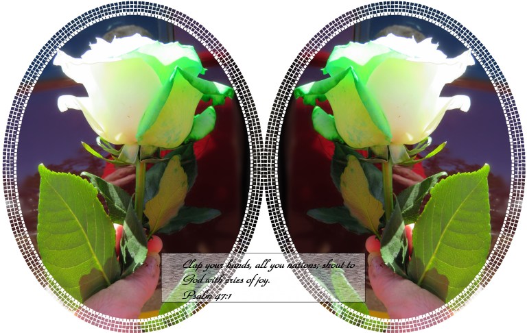 © Photo Artist Susan Ruth Robertson 090025006100 SX 540 HS 025 - Copy.JPG